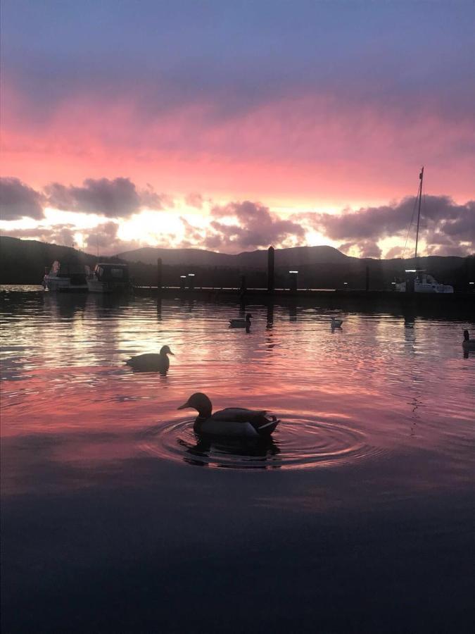 Owls House, White Cross Bay, Ambleside, Windermere Ngoại thất bức ảnh