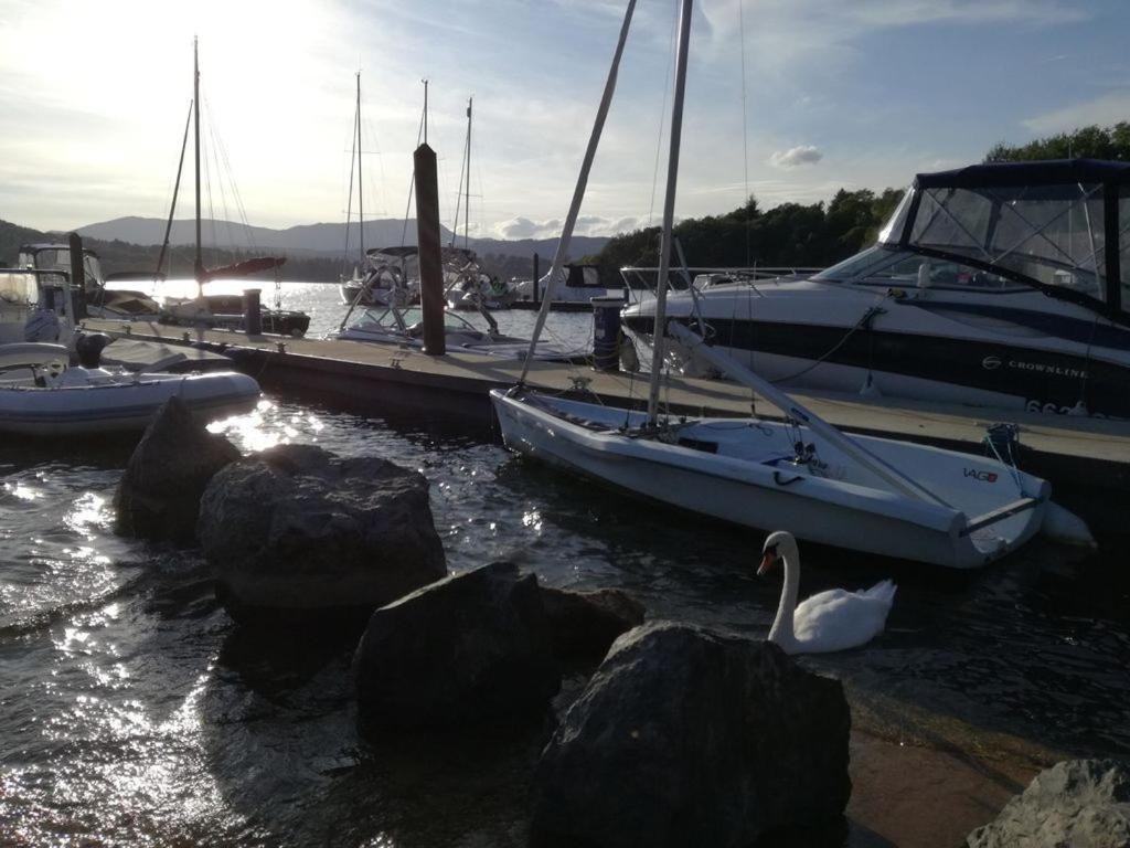 Owls House, White Cross Bay, Ambleside, Windermere Ngoại thất bức ảnh